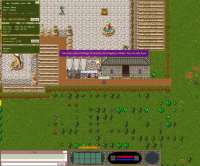 My Kingdom, entering the city of Arvenia